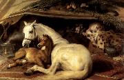 Sir Edwin Landseer The Arab Tent oil painting